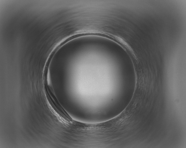 X0000054391380200507291132