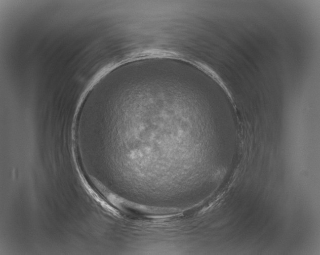 X0000054391381200507291132