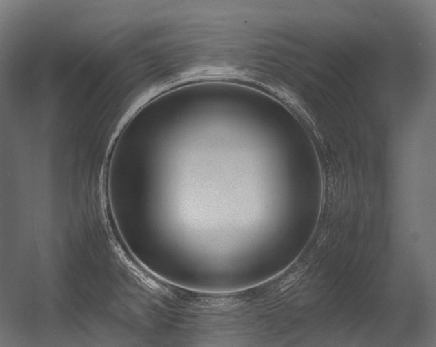 X0000054391382200507291132
