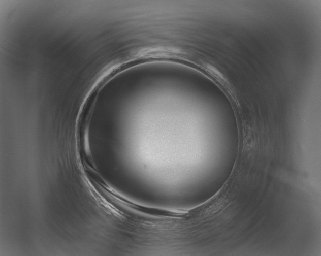 X0000054391384200507291132