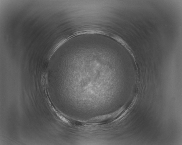 X0000054391385200507291132
