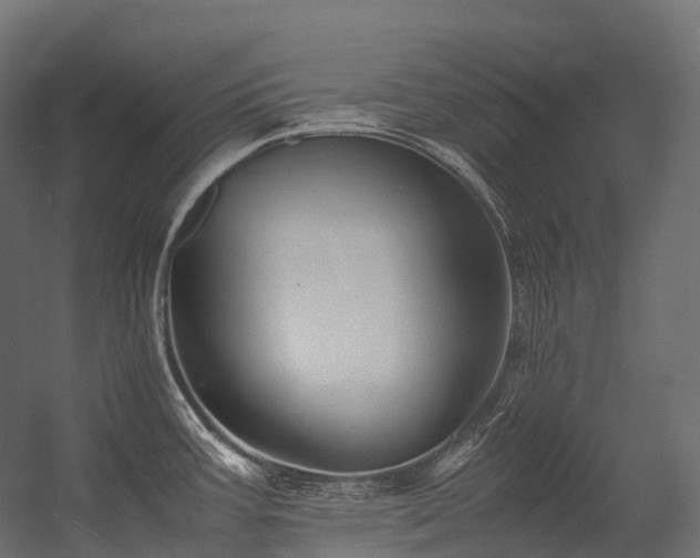 X0000054391387200507291132
