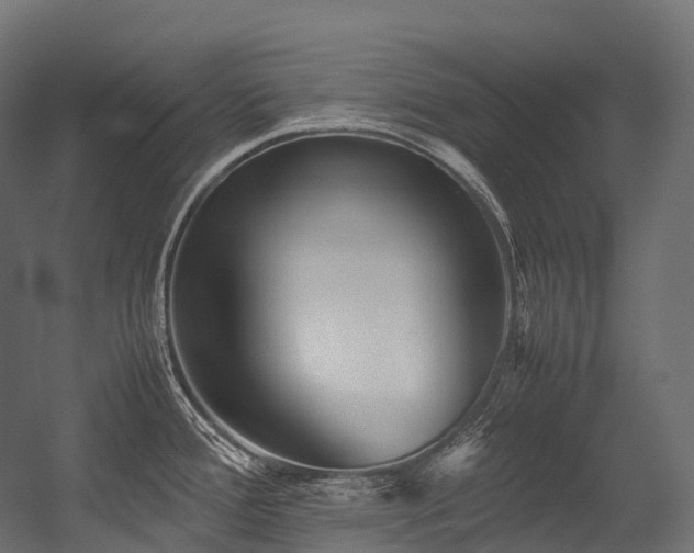 X0000054391388200507291132