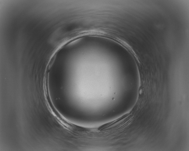 X0000054391391200507291132