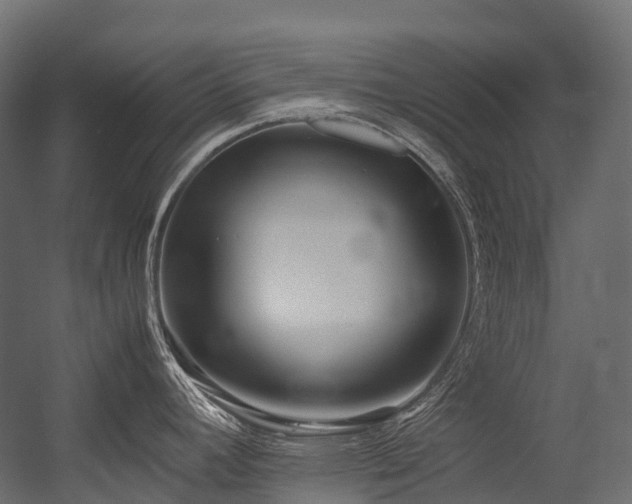 X0000054391392200507291132