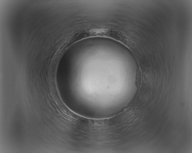 X0000054391393200507291131