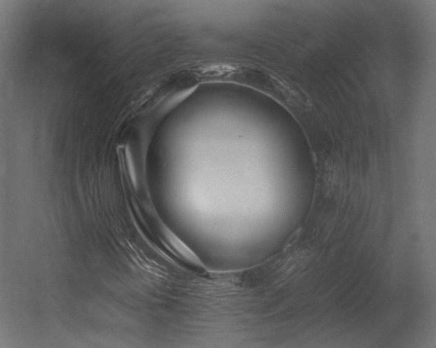 X0000054391394200507291131