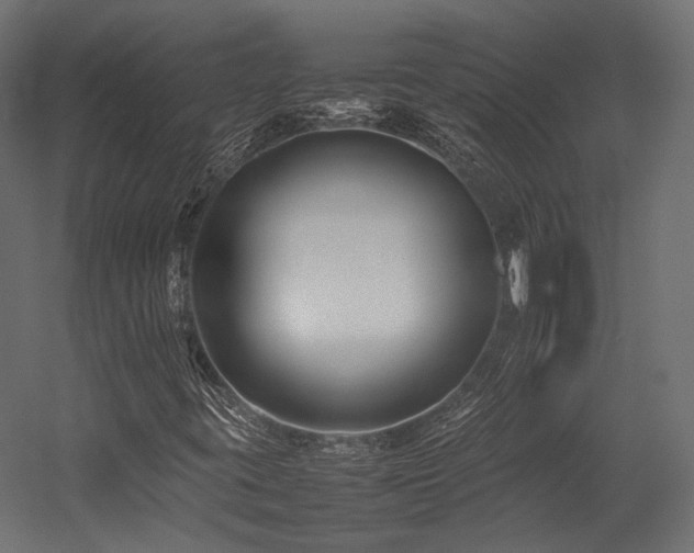 X0000054391395200507291131