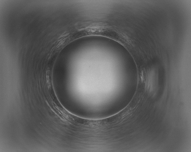 X0000054391396200507291131