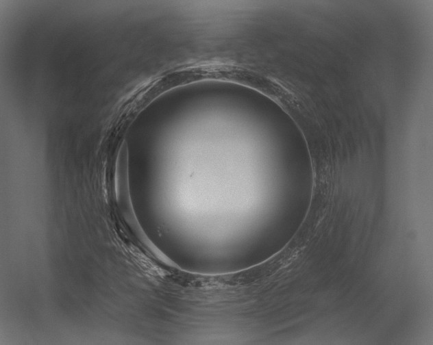 X0000054391398200507291131