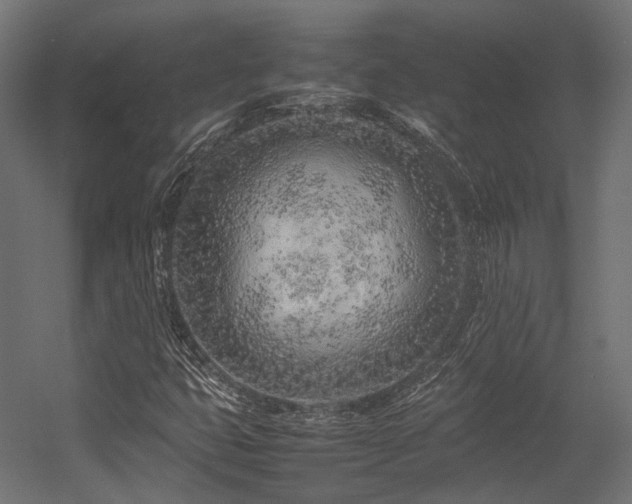 X0000054391399200507291131