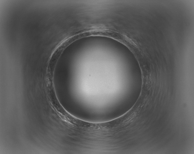 X0000054391400200507291131