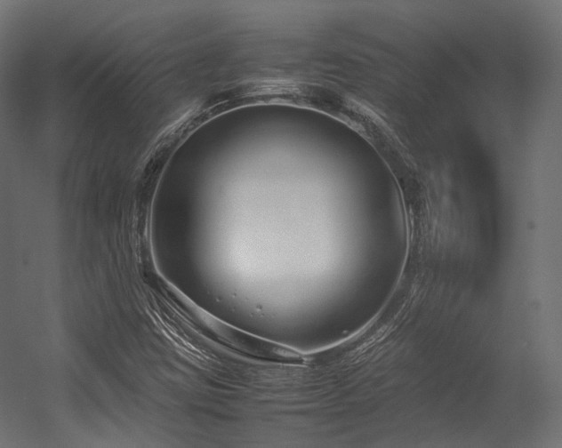 X0000054391403200507291131