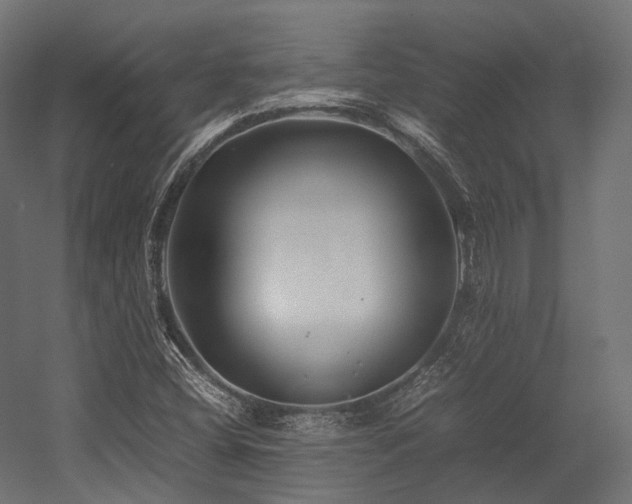 X0000054391404200507291131