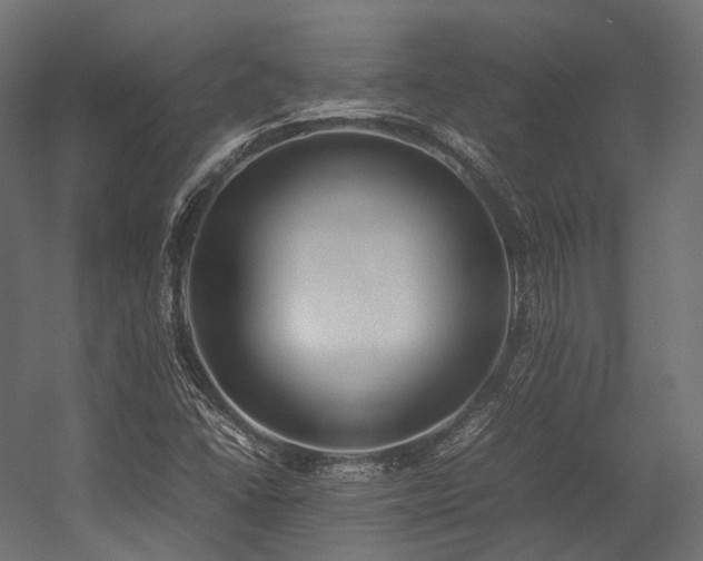 X0000054391406200507291131