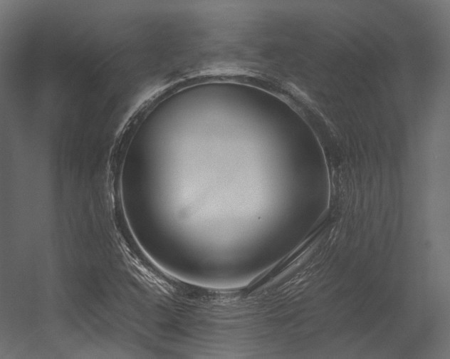 X0000054391408200507291131