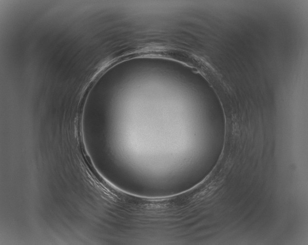 X0000054391409200507291131