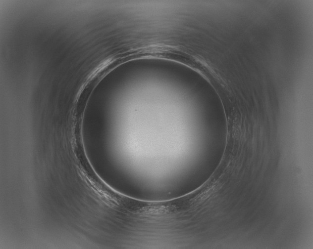 X0000054391410200507291131