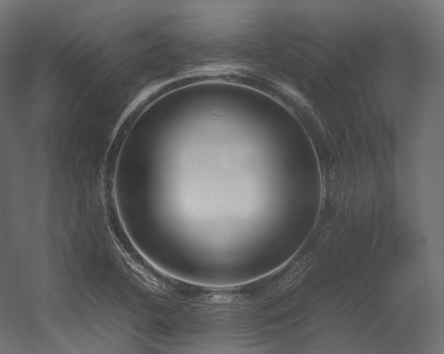 X0000054391412200507291131