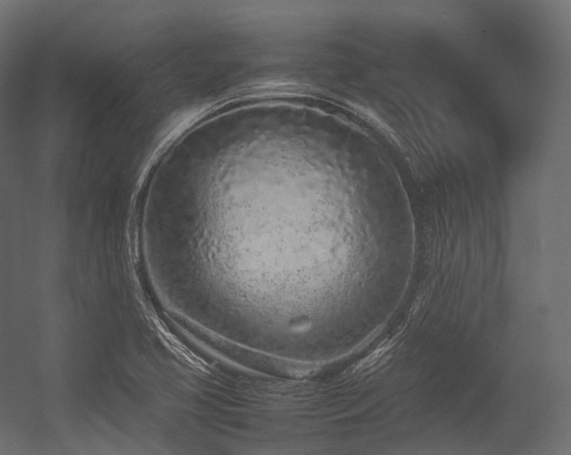 X0000054391413200507291132