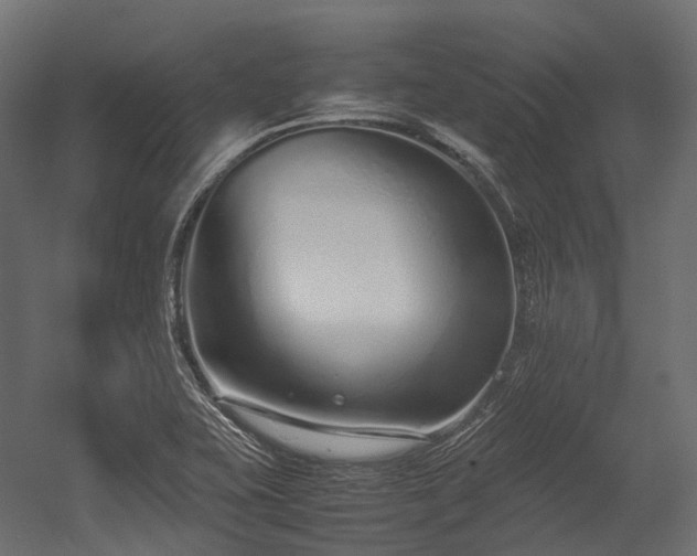 X0000054391415200507291132
