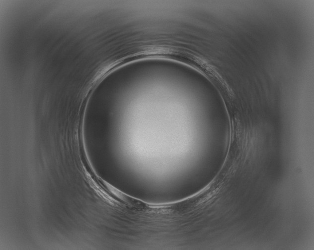 X0000054391417200507291132