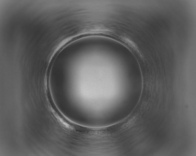 X0000054391420200507291132