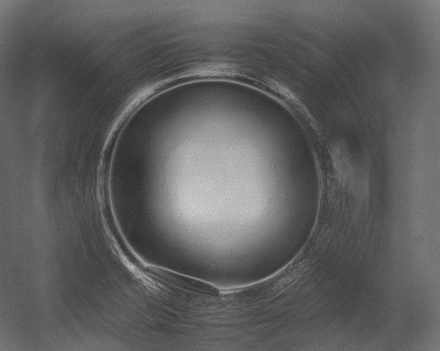 X0000054391421200507291132