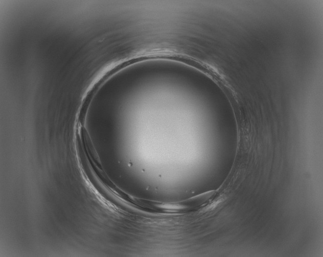 X0000054391422200507291132