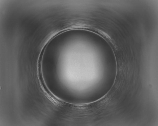 X0000054391423200507291132