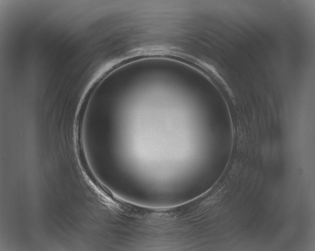 X0000054391424200507291132