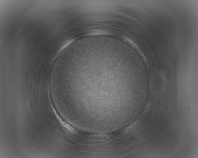 X0000054391425200507291132
