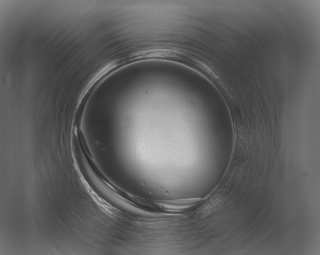 X0000054391426200507291132