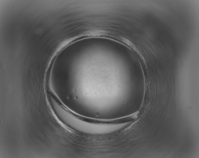 X0000054391429200507291132
