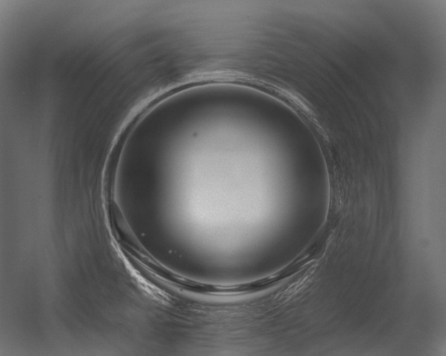 X0000054391430200507291132