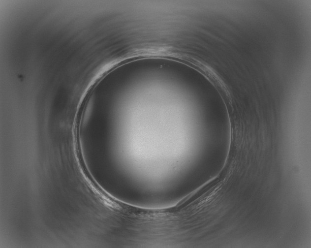 X0000054391432200507291132