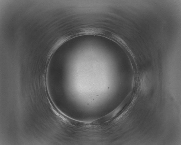 X0000054391433200507291132