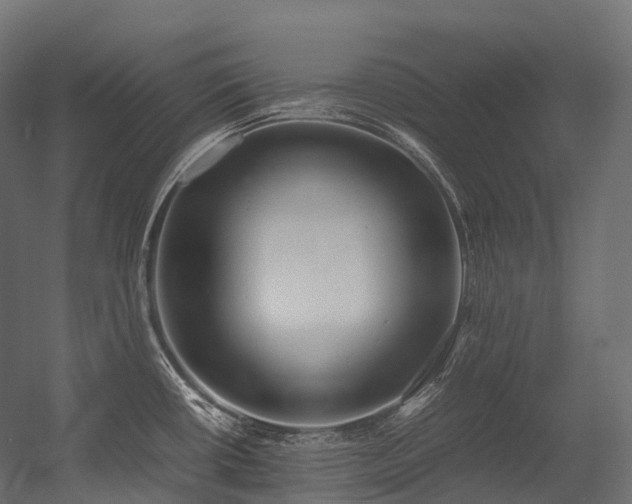 X0000054391434200507291132