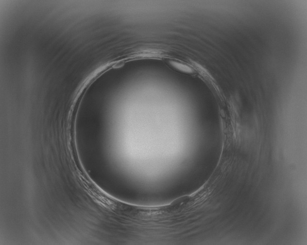 X0000054391435200507291132
