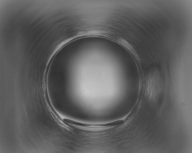 X0000054391436200507291132