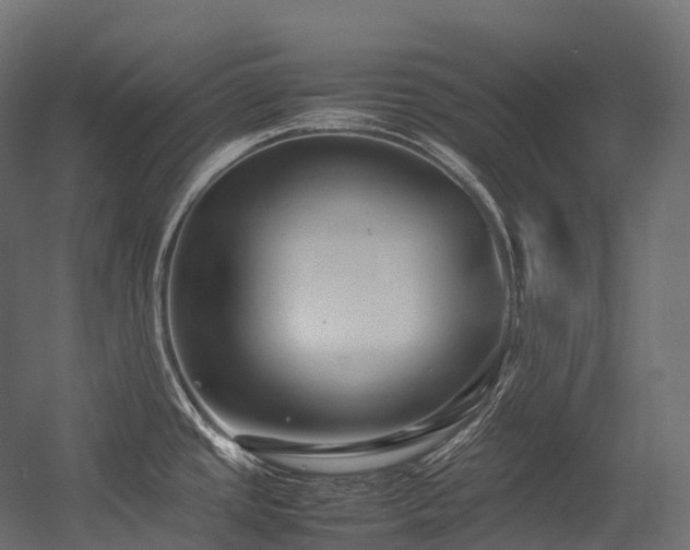 X0000054391437200507291132