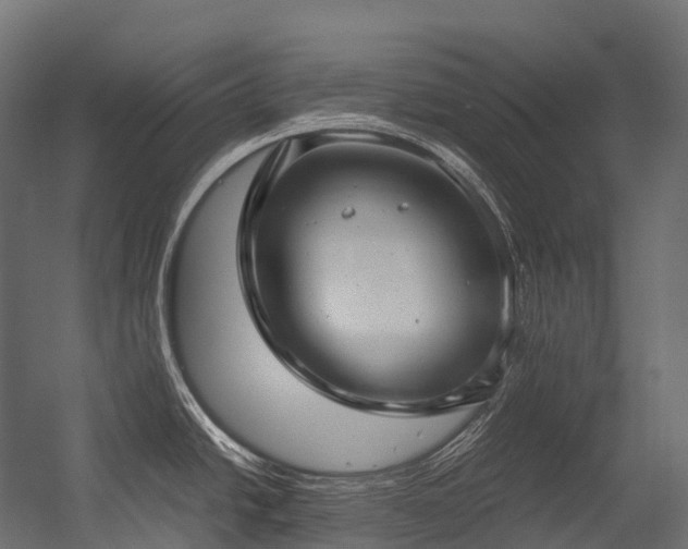 X0000054391438200507291132