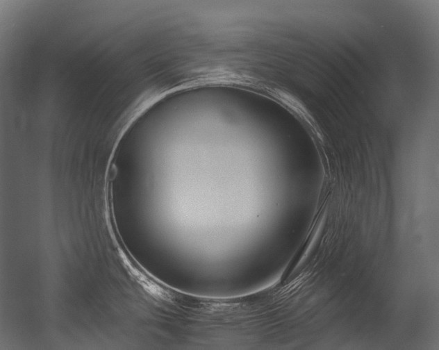 X0000054391439200507291132