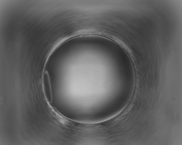 X0000054391440200507291132