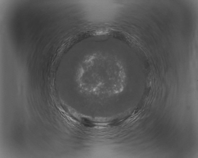 X0000054391441200507291131