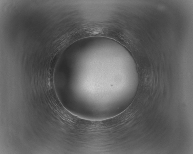 X0000054391442200507291131