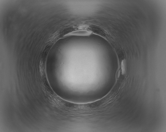 X0000054391443200507291131
