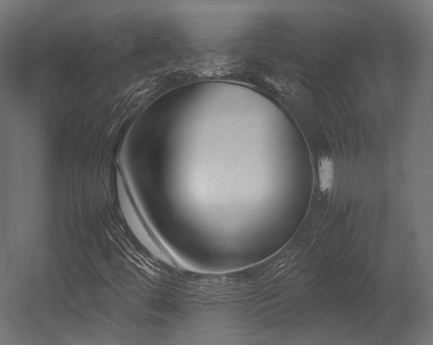 X0000054391444200507291131
