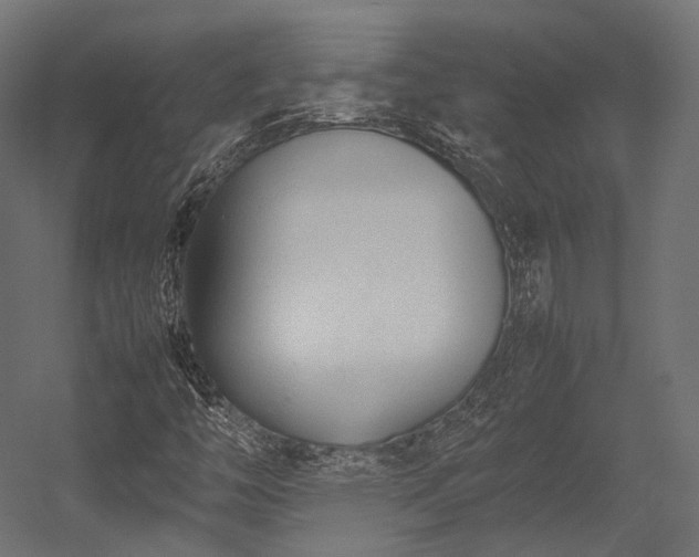 X0000054391446200507291131