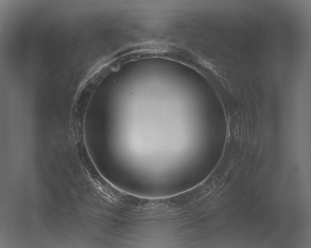 X0000054391448200507291131